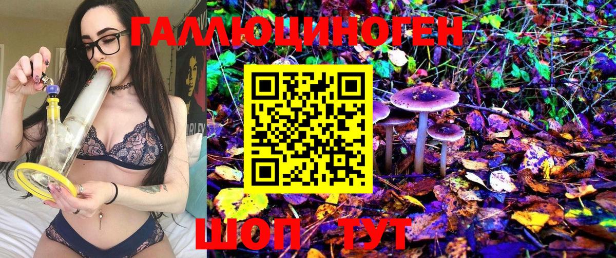 купить наркотики сайты  Псилоцибиновые грибы MAGIC MUSHROOMS  Вход с VPN  Бийск  Псилоцибиновые грибы GOLDEN TEACHER 