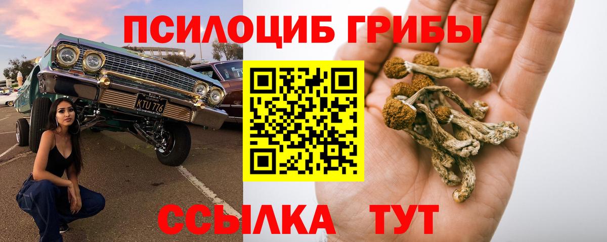 Галлюциногенные грибы ЛСД Бийск