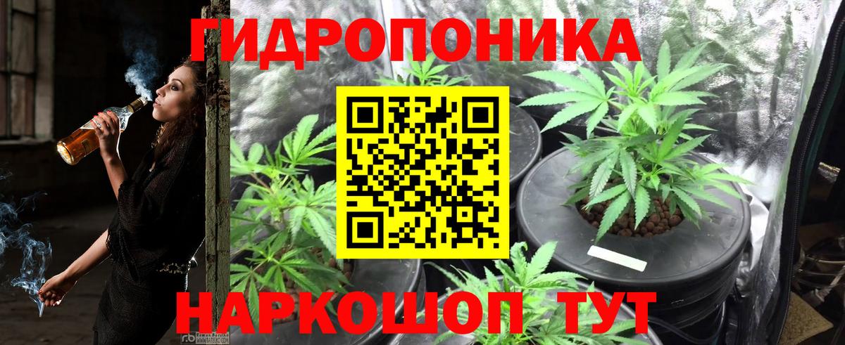 Марихуана гибрид  Бошки марихуана AK-47  Бийск  Канабис сатива  Вход с VPN 
